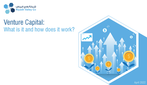 Venture Capital – What is it and how does it work?